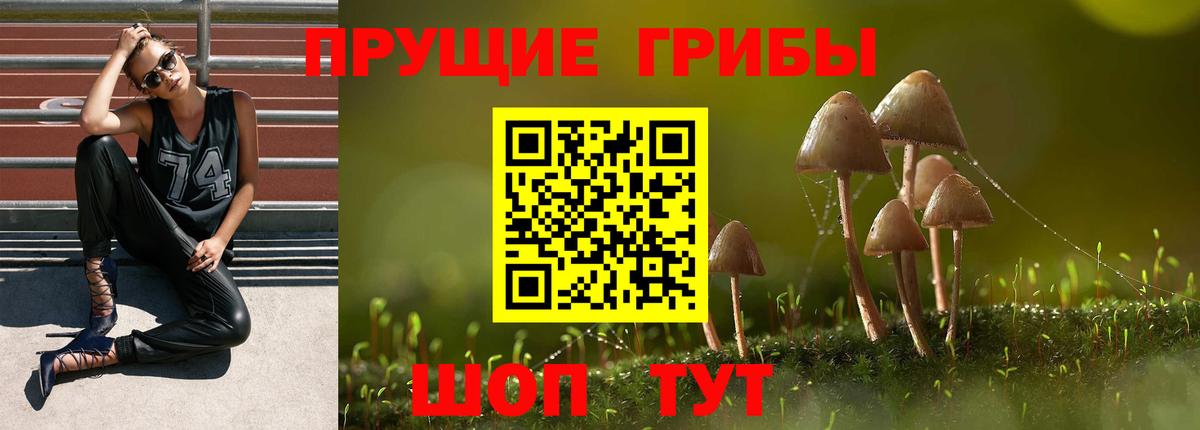 Псилоцибиновые грибы мухоморы Сочи
